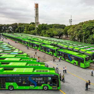Ônibus elétricos têm crescimento de emplacamento